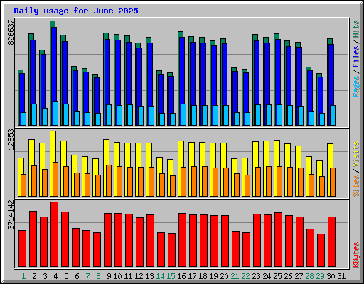 Daily usage for June 2025