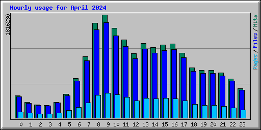 Hourly usage for April 2024