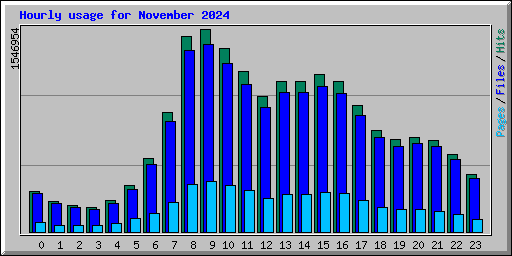 Hourly usage for November 2024
