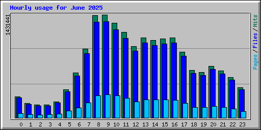 Hourly usage for June 2025