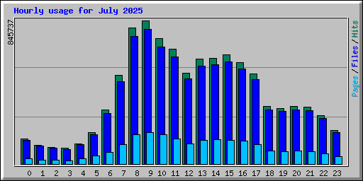 Hourly usage for July 2025